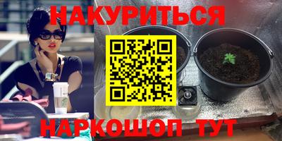 индика Сланцы