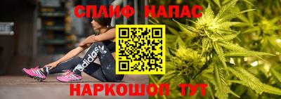 индика Сланцы