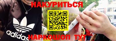 индика Сланцы
