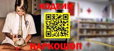 индика Сланцы